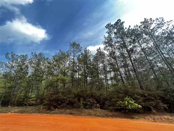 Cleveland, TX 77328,00 Forest Valley DR