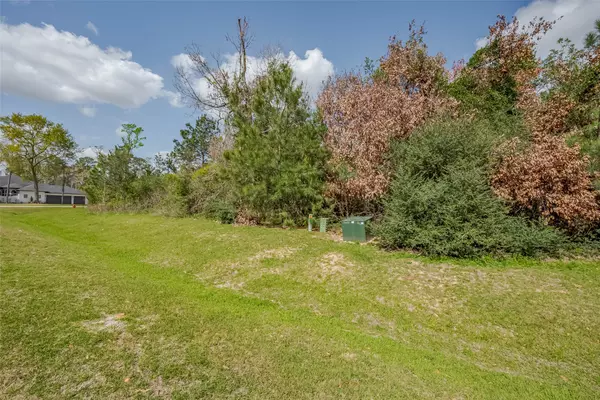 Spring, TX 77386,27203 Terra Run CT