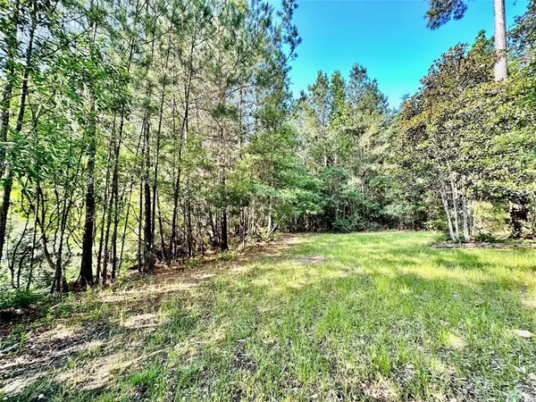 Warren, TX 77664,535 County Road 1340