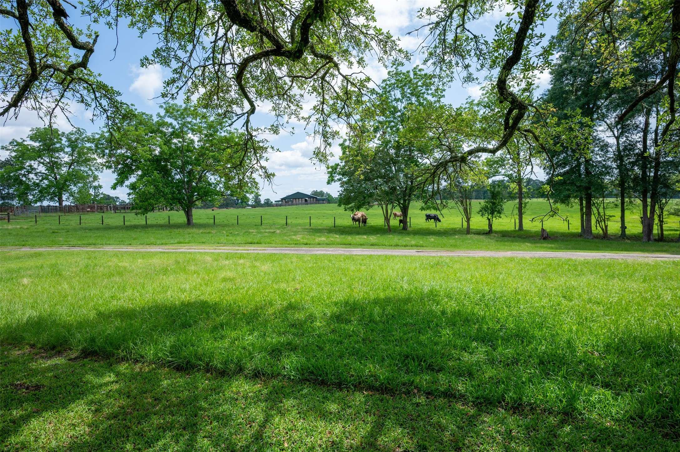 Woodville, TX 75979,1893 County Road 4250
