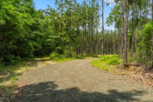 Warren, TX 77664,3625 County Road 4520