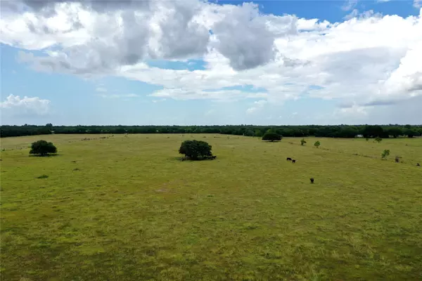 Louise, TX 77455,4102 CR 384 RD