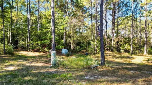 Coldspring, TX 77331,609 Gray RD