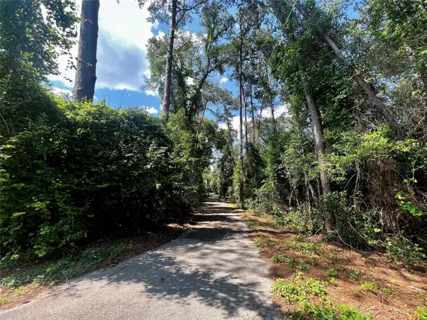 Woodville, TX 75979,2.21 Acres N Nellius