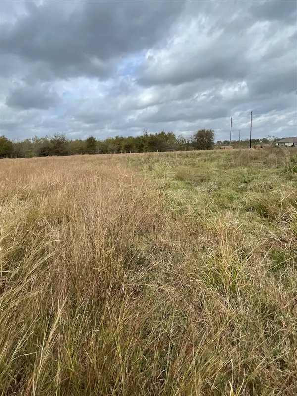 Wallis, TX 77485,11810 S Reinecker RD