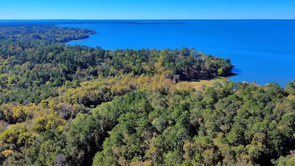 TBD Deer Ridge lot 73 DR, Livingston, TX 77351