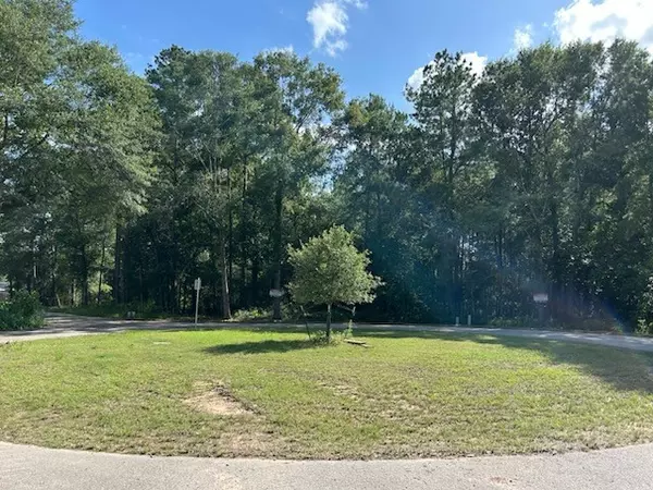 Roman Forest, TX 77357,TBD LOT 31 Scribe ST