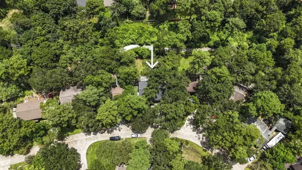 The Woodlands, TX 77381,12 S Cypress Pine DR