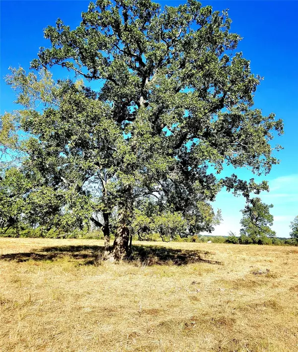 New Waverly, TX 77358,TBD Mt Zion RD S