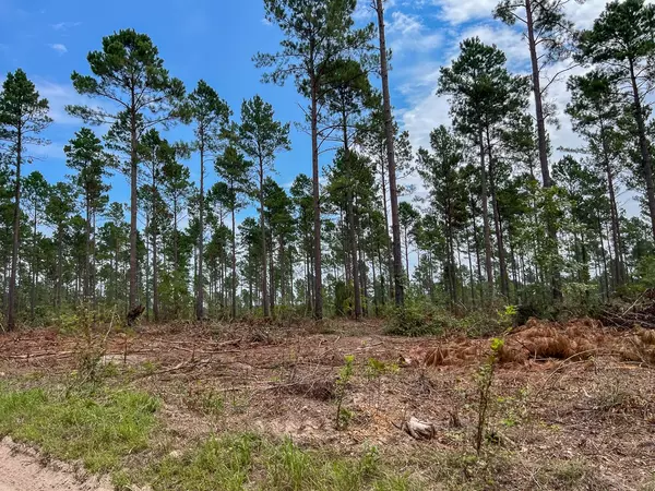 Groveton, TX 75845,22 Boontown Road