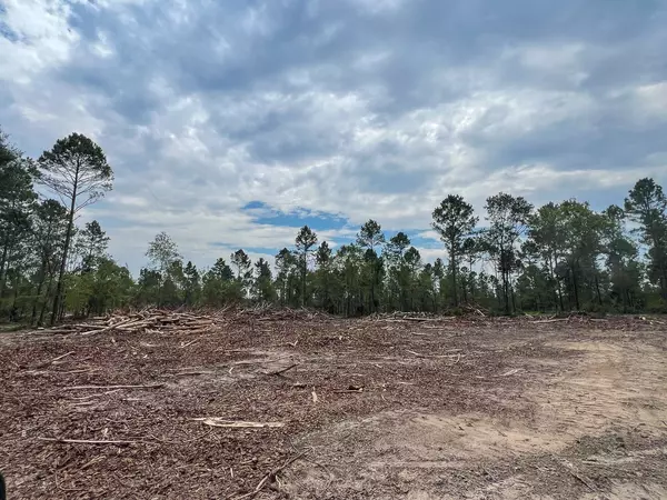 Groveton, TX 75845,22 Boontown Road