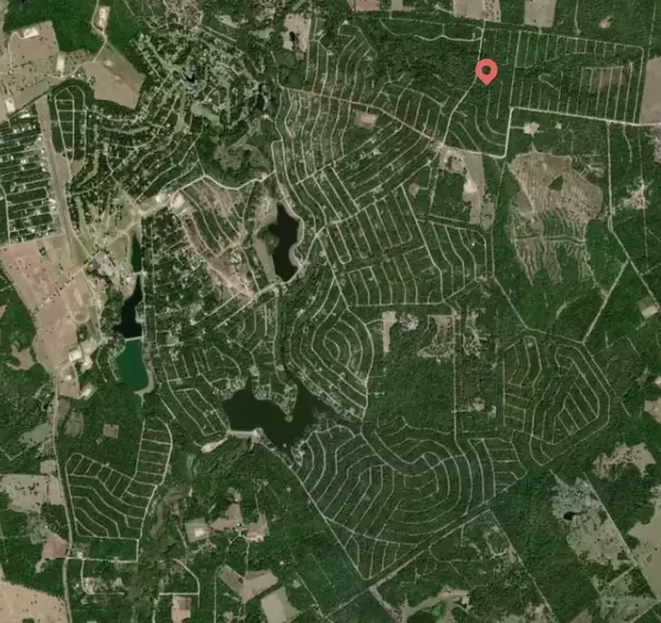 Normangee, TX 77871,Lot 3 Holly Springs RD