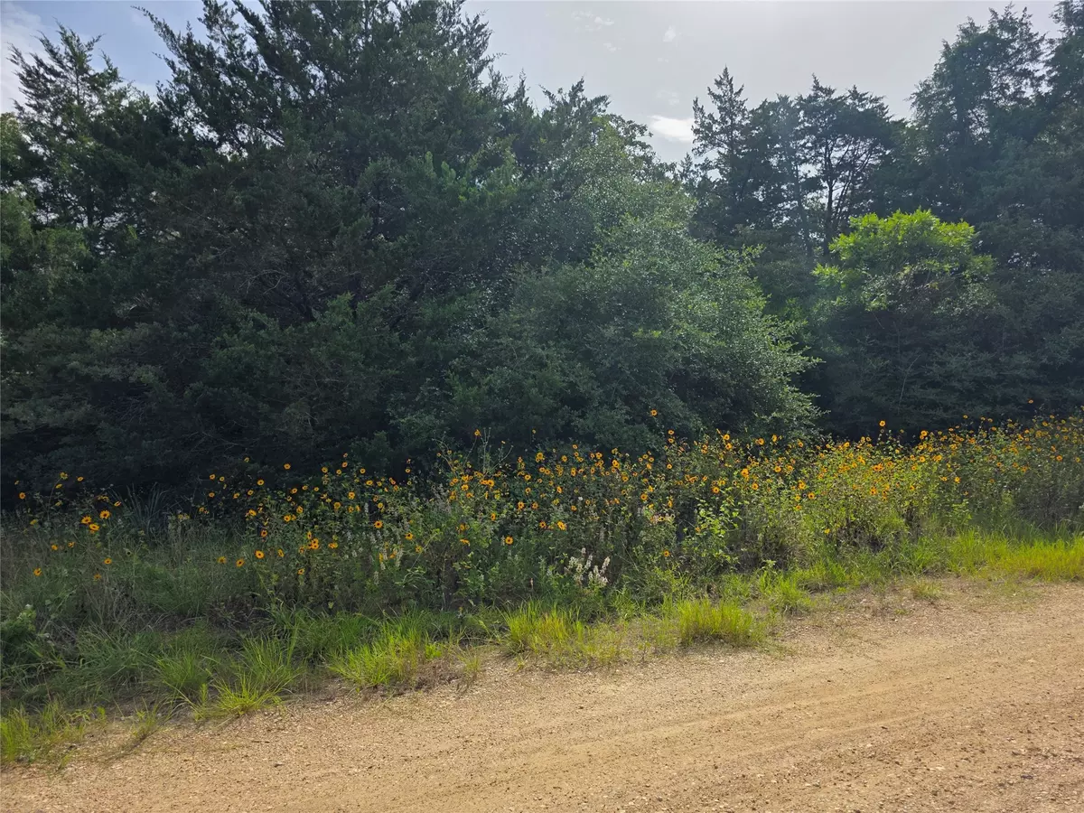 Caldwell, TX 77836,TBD Maple DR