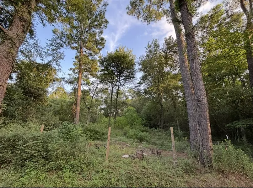 0 Guinn AVE, Houston, TX 77044