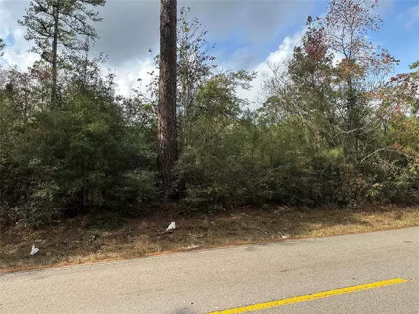 Conroe, TX 77358,19234 FM 2090 RD