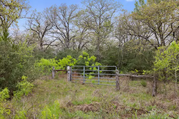1605 Lariet DR, Cistern, TX 78941