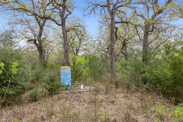 Flatonia, TX 78941,1605 Lariet DR