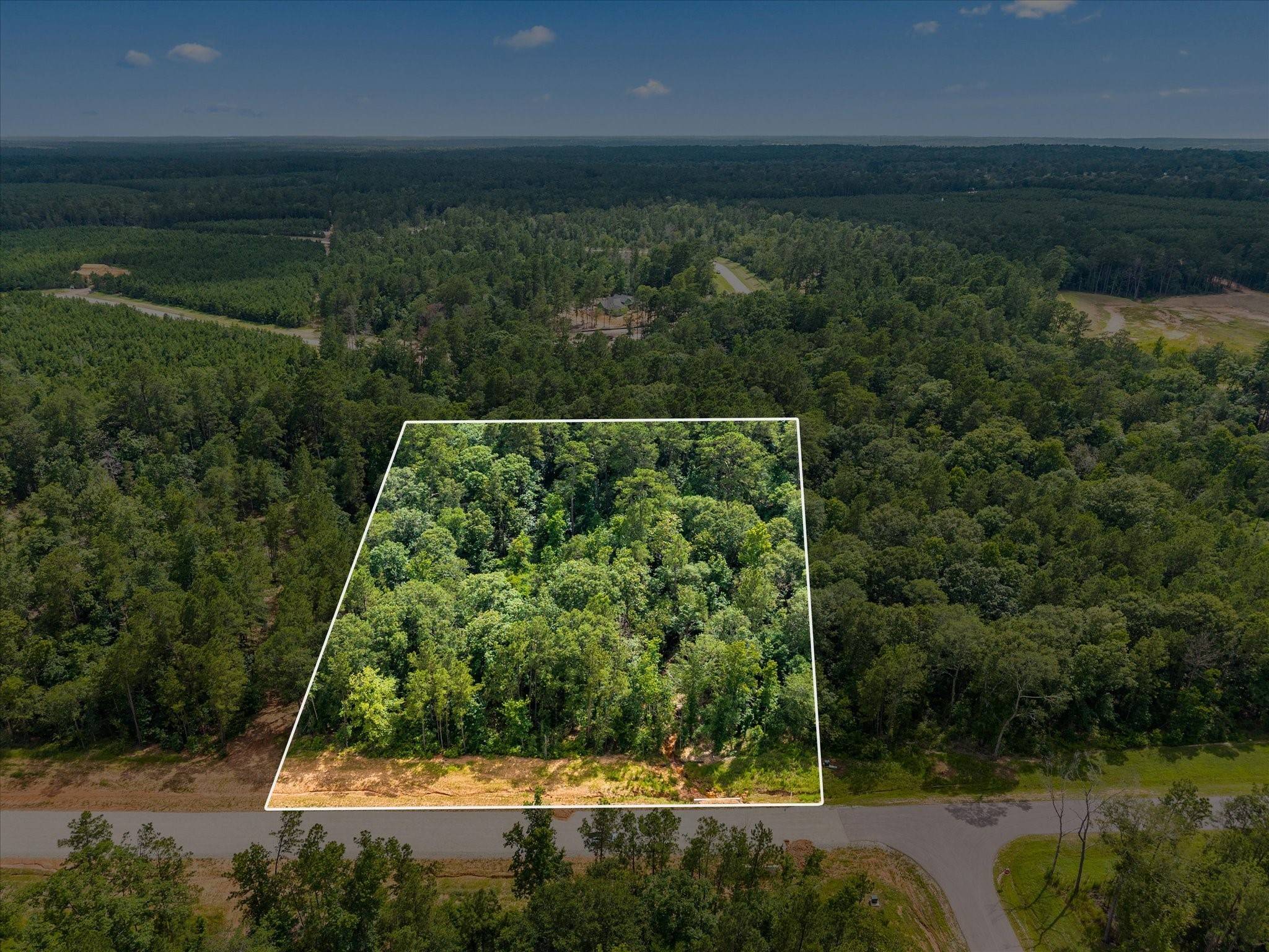Willis, TX 77378,11546 Bramble CT