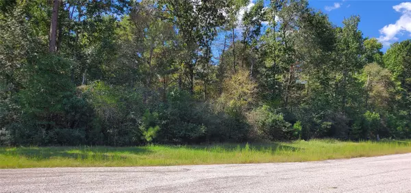 TBD Cougar court CT, Huntsville, TX 77340