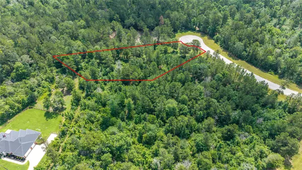 New Waverly, TX 77358,157 Iron Horse RD