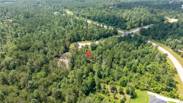 New Waverly, TX 77358,157 Iron Horse RD