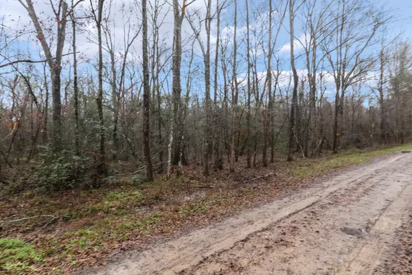 Shepherd, TX 77371,0 Wolfe Creek RD