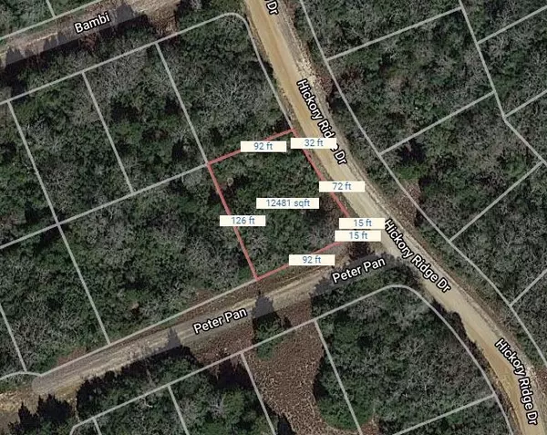 Normangee, TX 77871,Lot 55 Peter Pan