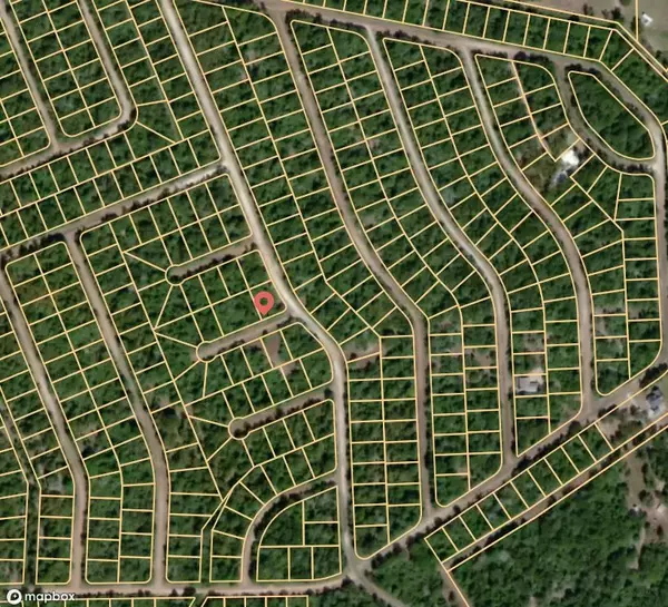 Normangee, TX 77871,Lot 55 Peter Pan