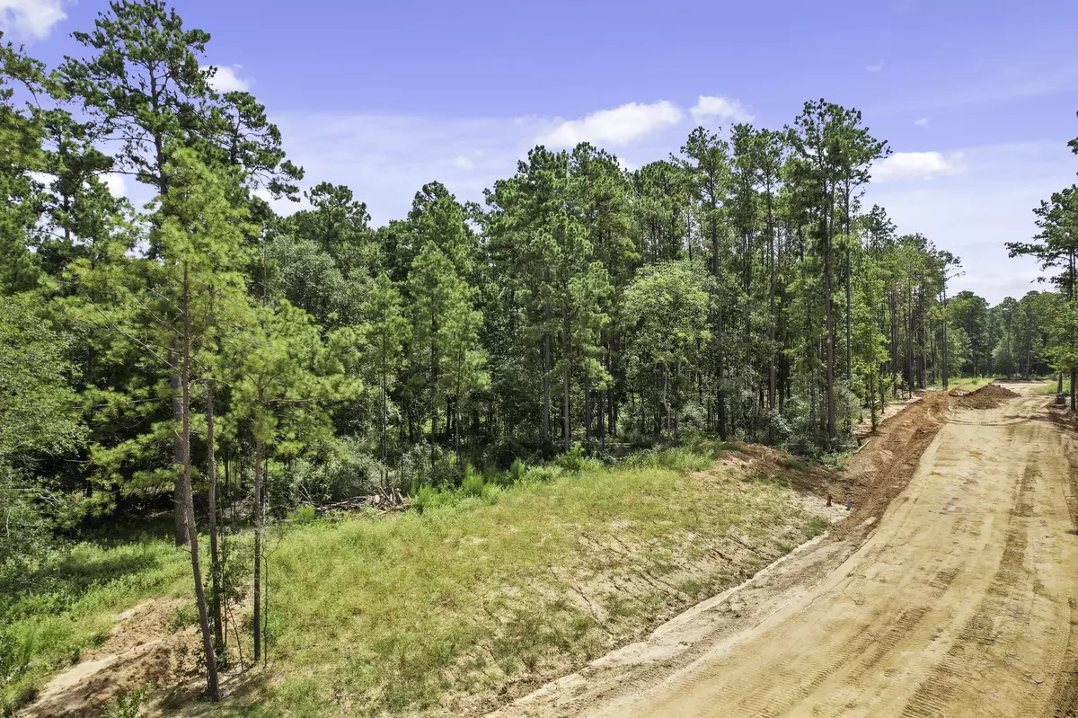 Montgomery, TX 77316,3645 Augusta DR