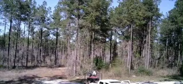 Livingston, TX 77351,000 Richardson RD E