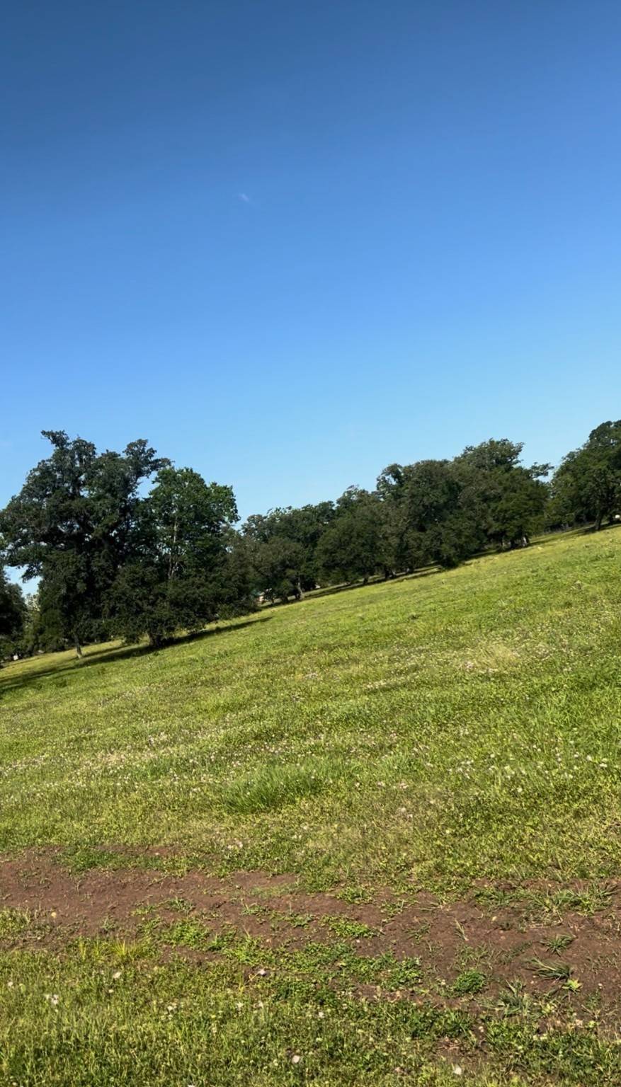 375 Valey Oaks Drive, Van Vleck, TX 77482