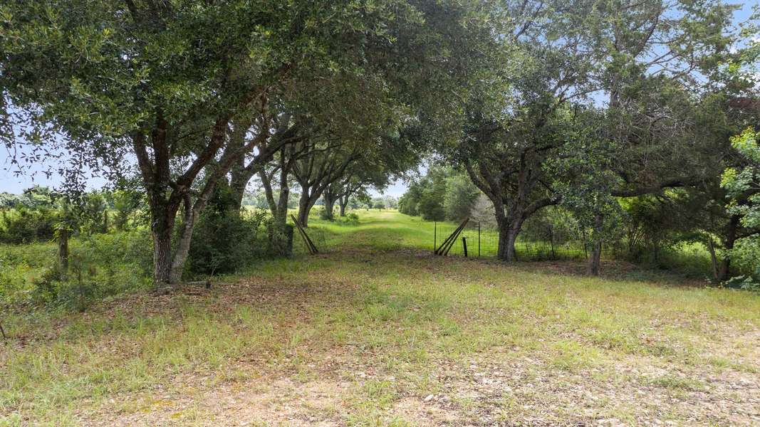 1017 New Ulm RD, Cat Spring, TX 78933