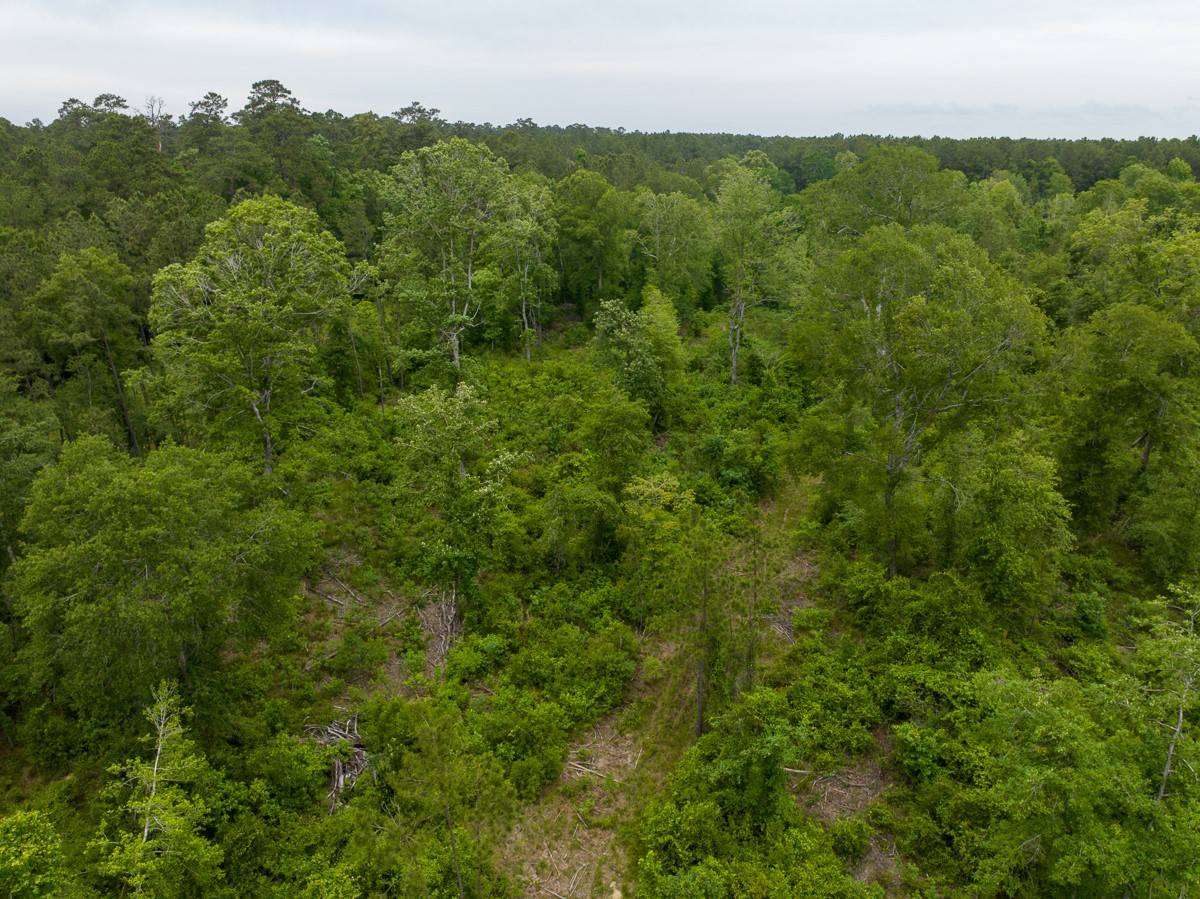 Cleveland, TX 77327,9388 Highway 105