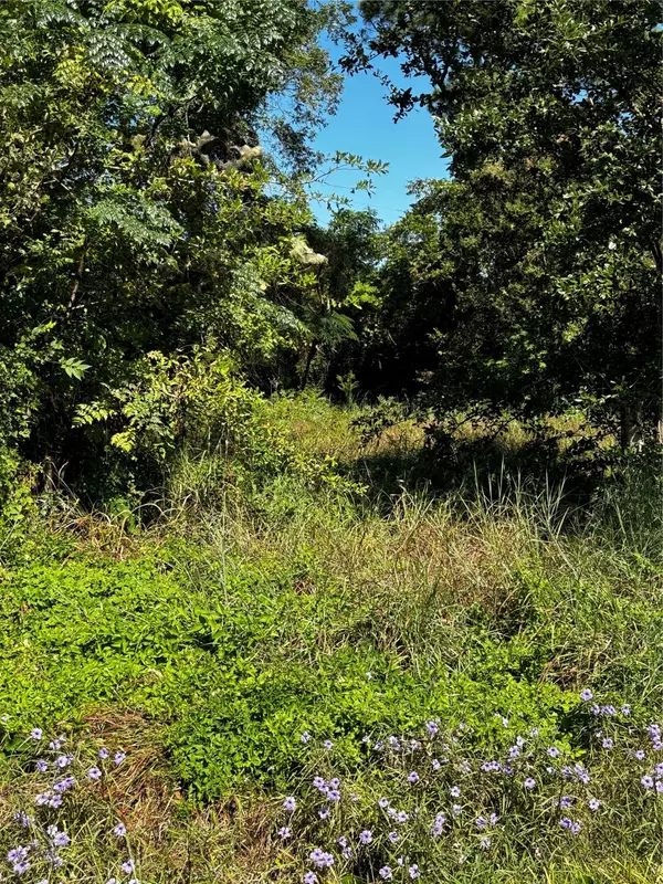 La Marque, TX 77568,426 Pear ST