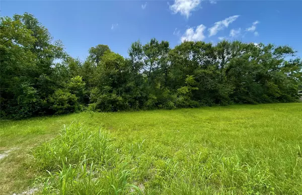 Angleton, TX 77515,1443 County Road 687