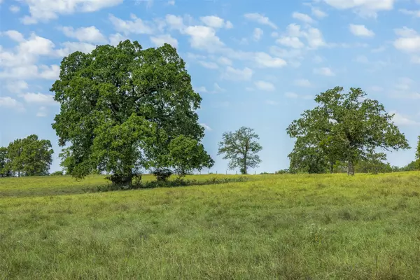 Tract 3 Rolke Ranch RD, Franklin, TX 77856