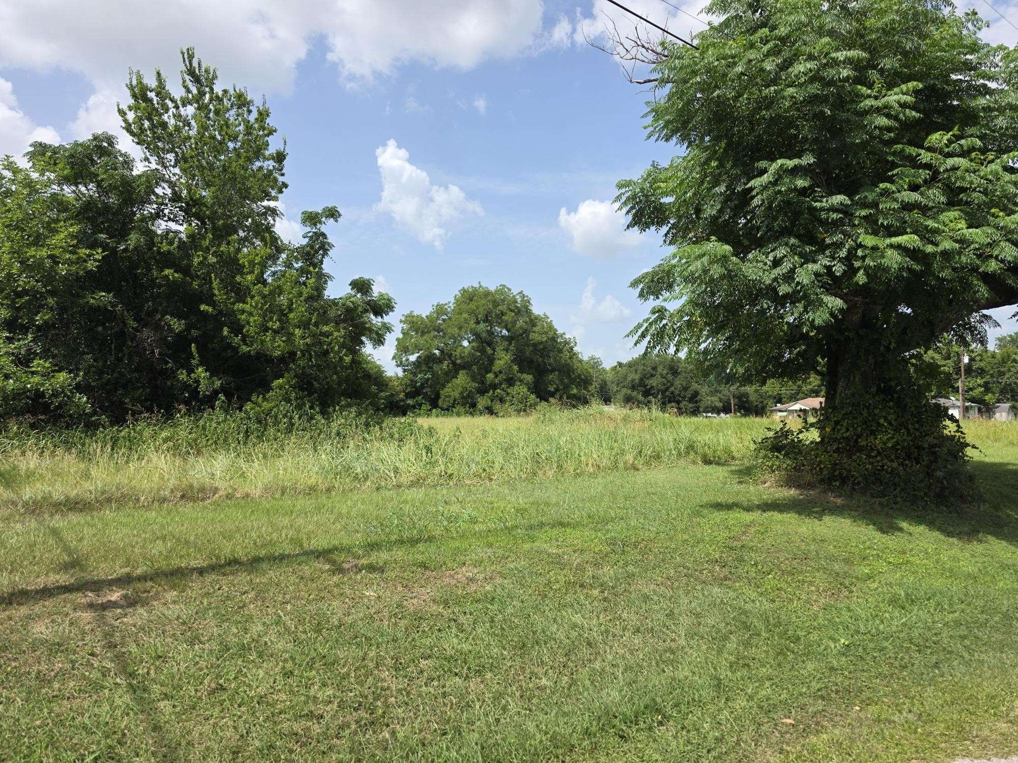 TBD -1213 Cleveland Avenue, Navasota, TX 77868