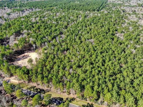 Plantersville, TX 77363,TBD Clark RD