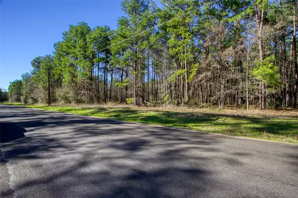 TBD Clark RD,  Plantersville,  TX 77363