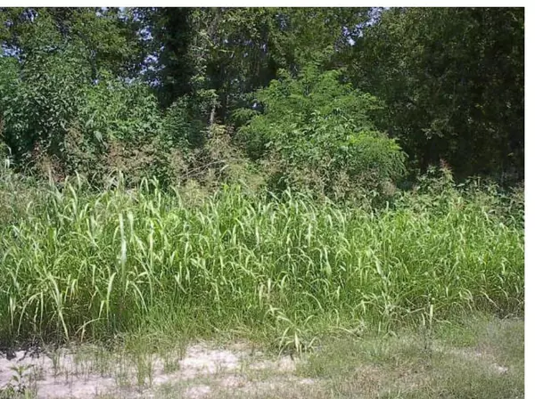 Houston, TX 77073,0 Hardy RD