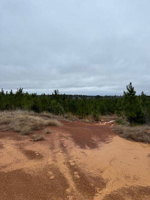 Livingston, TX 77351,TBD Young Tract 44