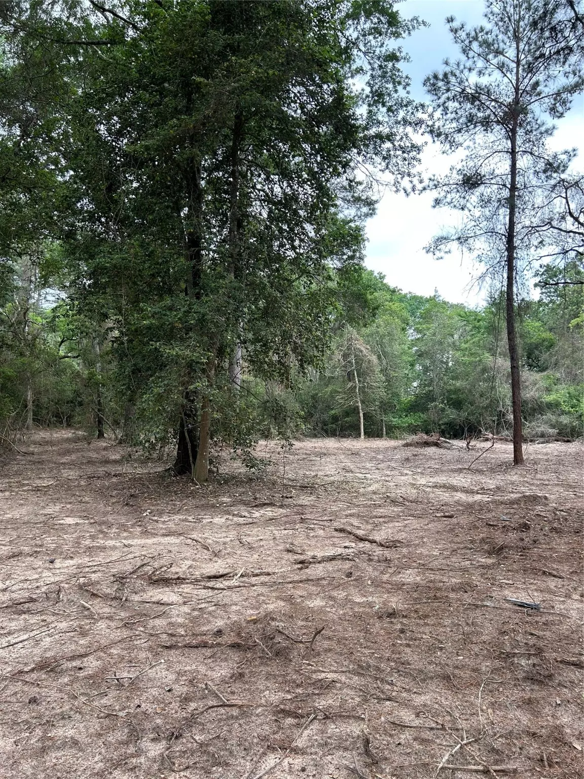 Navasota, TX 77868,3340 County Road 325 RD