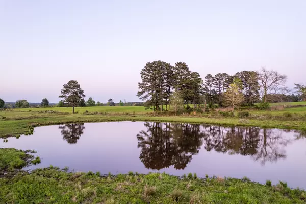 Avinger, TX 75630,11164 County Road 1617