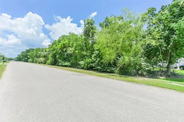 Hitchcock, TX 77563,7523 Pigeon Rd