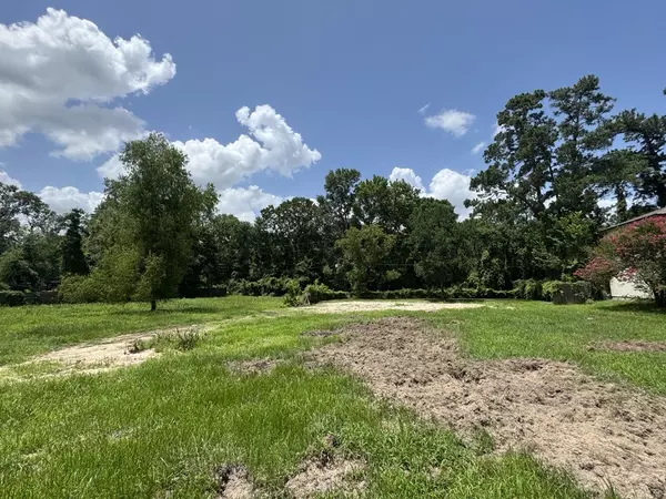 Conroe, TX 77385,206 Sherbrook CIR