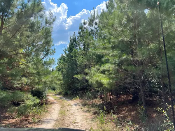 Huntsville, TX 77320,07 FM 247