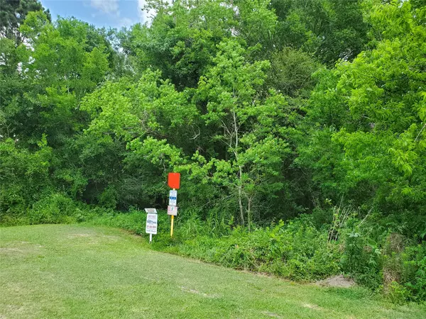 Alvin, TX 77511,16703 County Road 550a