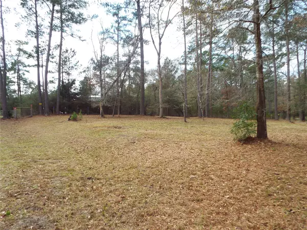 Plantersville, TX 77363,Lot 21 & 22 Emery CT