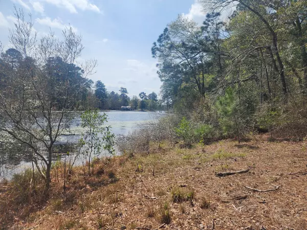 Woodville, TX 75979,530 County Road 4210
