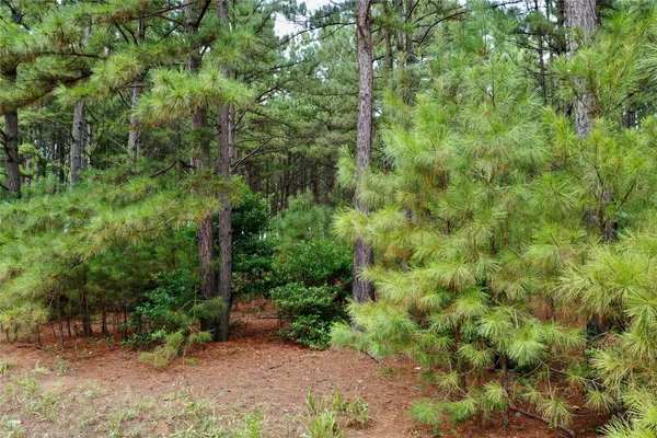 Grapeland, TX 75844,TBD CR 1735